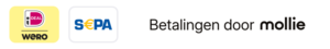 ideal/wero and sepa payment with mollie